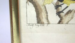 Georges-Louis LECLERC DE BUFFON (1707-1788), handcolorierte Gravuren, ...