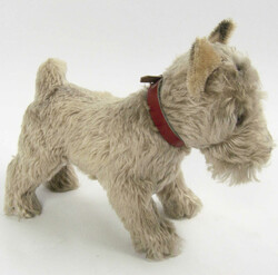 Steiff Schnauzer "Tessie" hellgrau aus Mohair. 50/60er Jahre. Fest ...