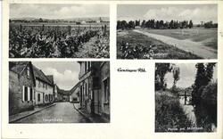 Ansichtskarte Gensingen, Mehrfachansicht. Gelaufen 1949.  ...
