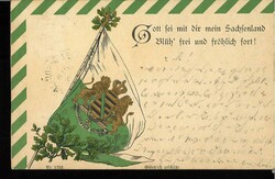 Sachsen, Ansichtskarte mit Wappen und Fahne Sachsen. Gelaufen 1900 ...