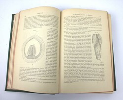 Küchenmeister und Zürn, "Parasiten des Menschen" zweite Auflage. ...