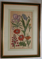 30: Watercolours, Drawings