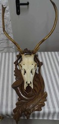 850.28: Varia - Jagd
