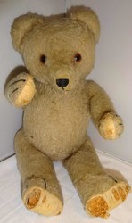 700.20: Teddies