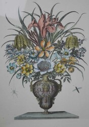 2 kolorierte Radierungen, Italienischer Künstler des 16. ...