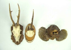 Lot Jagdliches, dabei 2 Geweihe auf Holzplatte