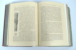 Die Ärztin im Hause. Mit 957 Original Illustrationen, 60 Tafeln und ...