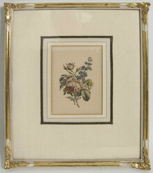 Debaise, Umrißkupferstich um 1850, colierte Stich mit Rosenmotiv. ...