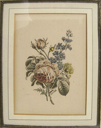 Debaise, Umrißkupferstich um 1850, colierte Stich mit Rosenmotiv. ...