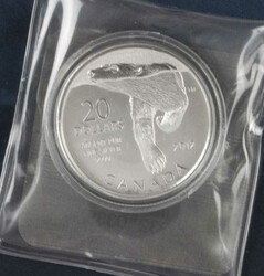 20 Dollar Silbermünze 2012, Spiegelglanz in Kapsel. Im Original ...
