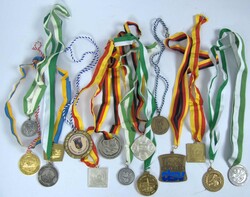 Lot Schwimm - Medaillen. Insgesamt 15 Stück.  Automatically ...