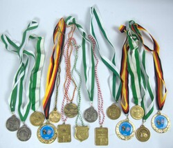 Lot Schwimm - Medaillen. Insgesamt 15 Stück.  Automatically ...