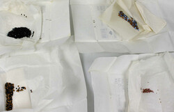 550.95: Jewelry, various