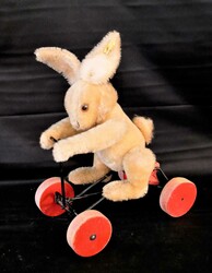 700.20: Teddies