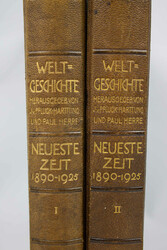 "Weltgeschichte der neusten Zeit 1890 - 1925" herausgegeben von ...