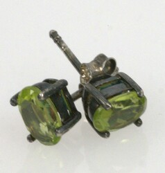 550.60: Jewelry, ear jewelry