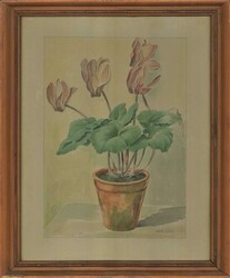 30: Watercolours, Drawings