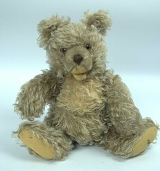 Steiff Teddy Zotty, ohne Fahne, Marke und Knopf.  Automatically ...
