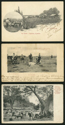 3 Old postcards showing RURAL scenes: Dairy farm, slaughering a calf, ...