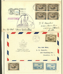 Collection with many album pages (about 40) with mint (many are MNH) ...