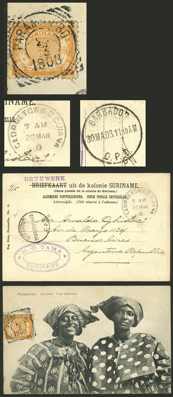 26/MAR/1903 Paramaribo to Argentina, postcard franked with 3c. (Sc ...