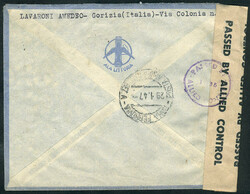 Registered airmail cover sent from Gorizia to Argentina on ...