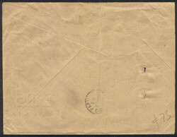 Large fragment of cover sent from Buenos Aires to Paris in SE/1920, ...