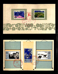 China, Massive Area-Wide Unused and Used Accumulation, 1862-2002, ...