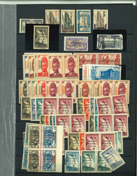 3850: Kamerun - Sammlungen