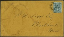 4029: Confederate States Postmasters' Provisionals