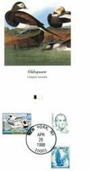 DUCK STAMPS. Flere presentasjonsmapper med stempelmerker og frimerker ...