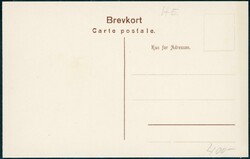 TRYSIL. Grænsevagt i Trysil 1905, med stor tropp soldater, flagget ...