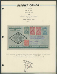 PIONEER FLIGHT: 1931 (June 18), Dornier Do X Flight pre-printed cover ...