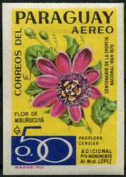 4905: パラグアイ