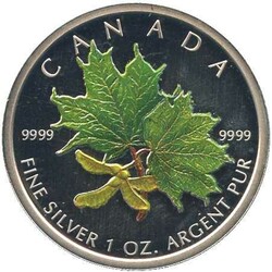 KANADA: 2002, 5 Dollar, 1 Oz. Silber, Maple Leaf "Ahornzweig im ...