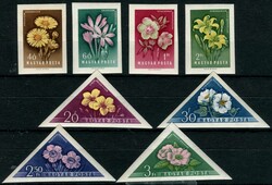 6535: ハンガリー