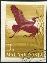 6535: ハンガリー