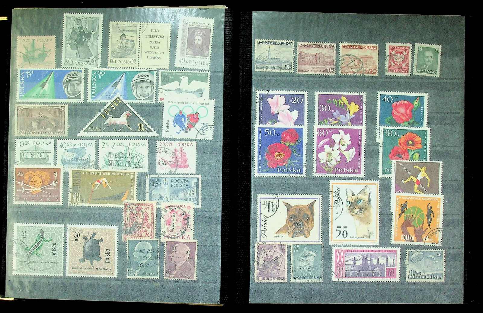 Image 1 for lot number 7705 for 115th Briefmarken Lenz Auction