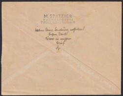 1950, 24 Pf. Volkswahlen, 2 Marken mit 2 Pf. Köpfe auf Ersttagsbrief ...