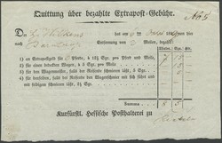 841030: Tiere, Säugetiere, Pferde