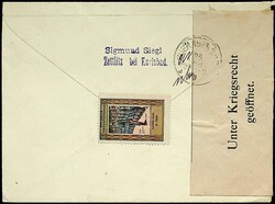 1918, 5 P. im Paar, 20 H., alle mit Durchstich, klarer alter Öst ...