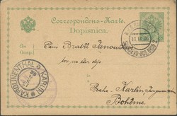 1920: Bosnien Herzegowina - Ganzsachen