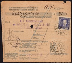 1920: Bosnien Herzegowina