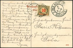 1920: Bosnien Herzegowina