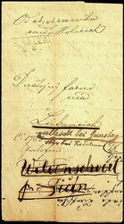 1876, unfankierter Brief mit Rahmenstempel "Holitz" und rückseitig ...