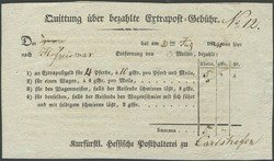 841030: Tiere, Säugetiere, Pferde