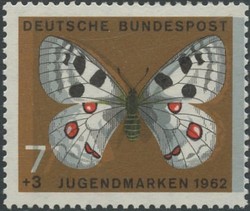 841520: Tiere, Insekten, Schmetterlinge