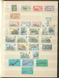 2480: Falkland - Sammlungen