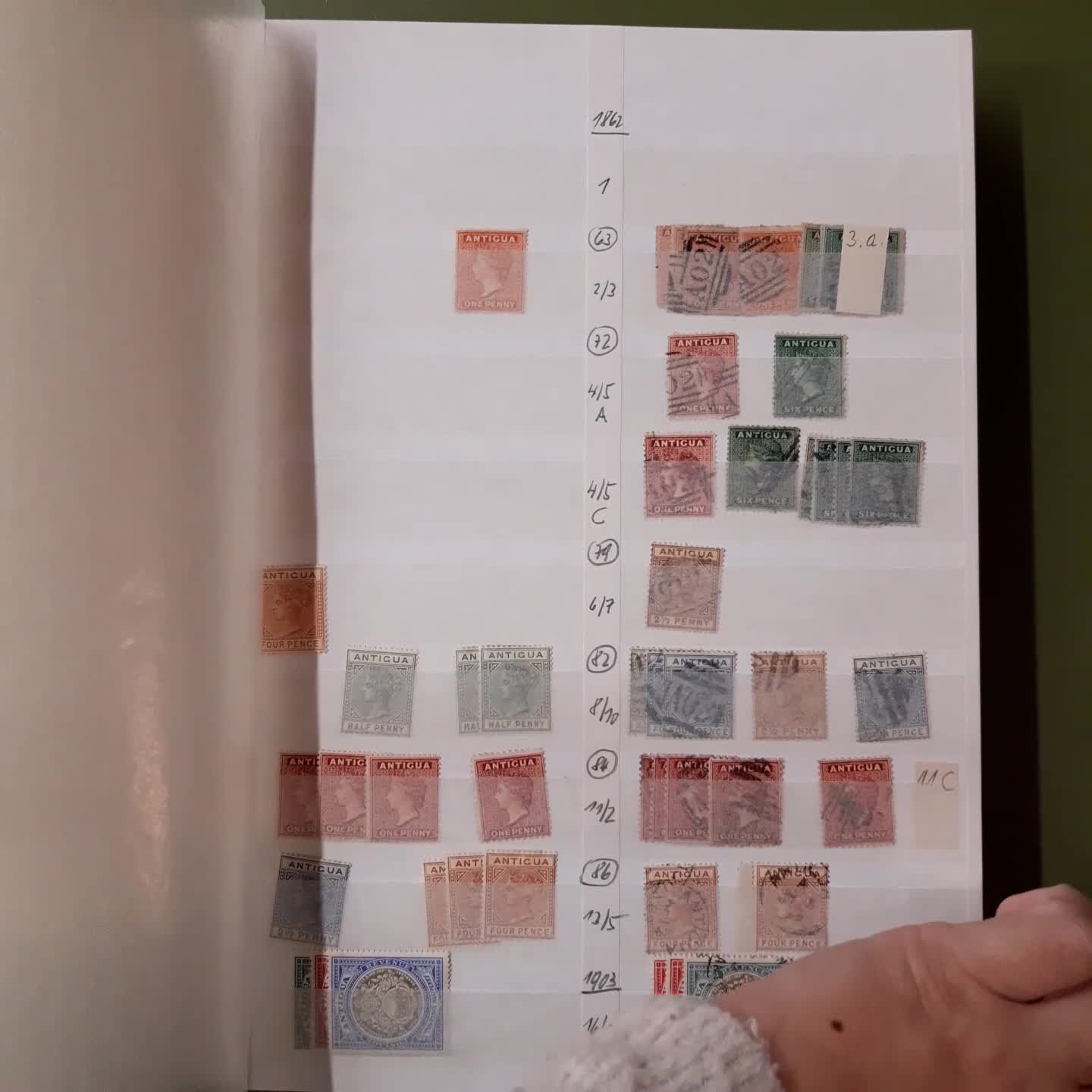 ANTIGUA - Händlerbestand in 3 Alben, teils dicht ...