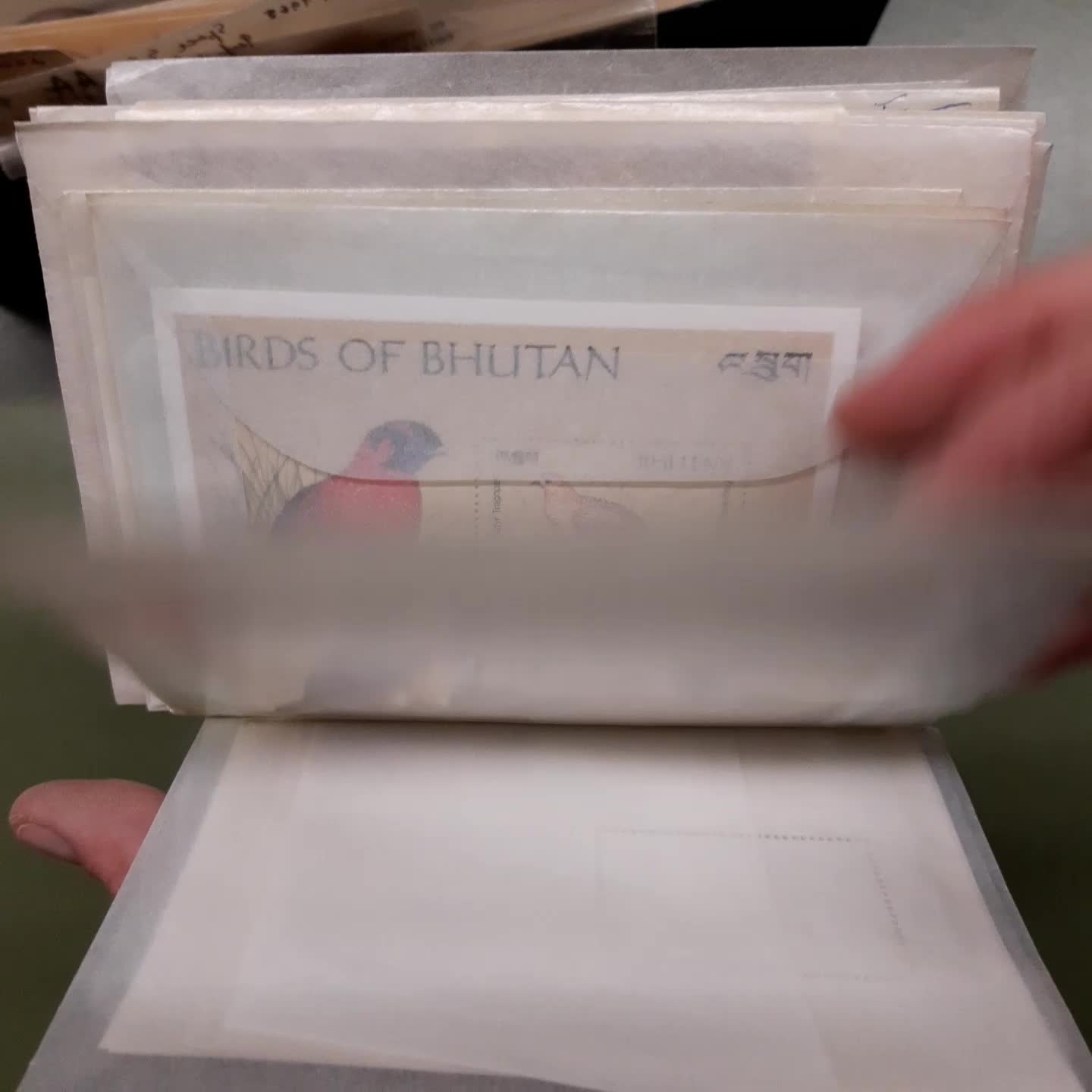 BHUTAN - enormes ** Tütenlager in 4 vollen Schachteln, mit grosser ...